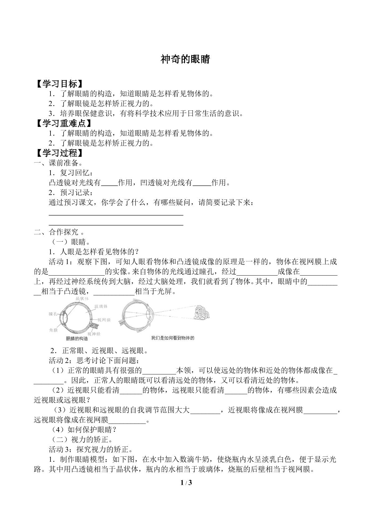 神奇的眼睛_学案1