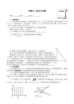 专题五:新定义问题(含答案) 精品资源_学案1