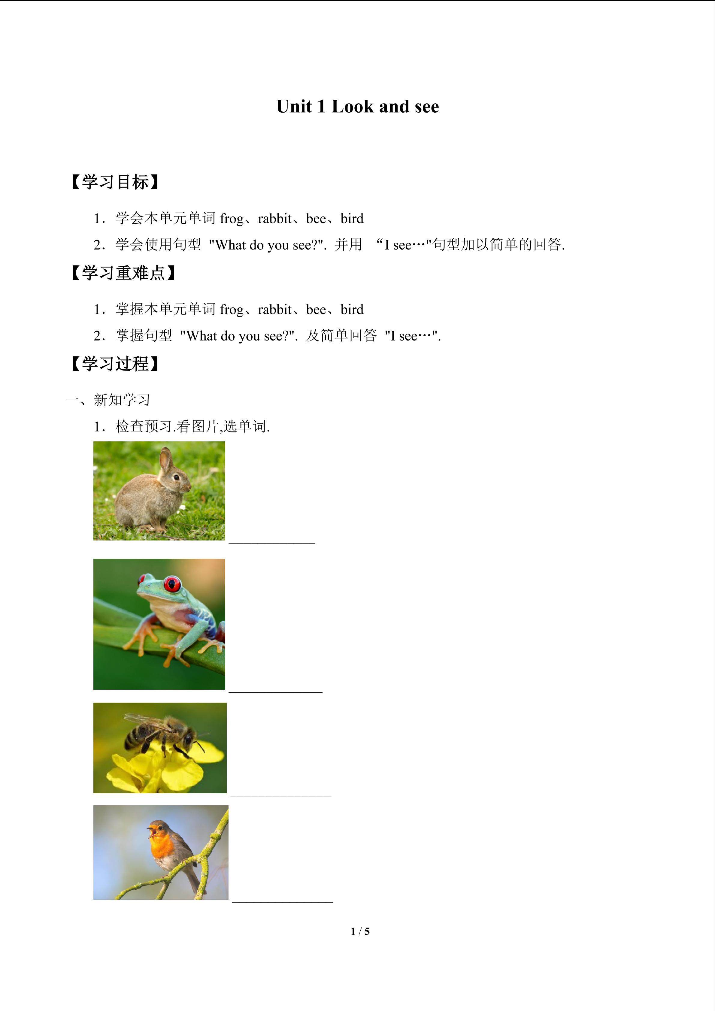 Unit 1 Look and see 学案