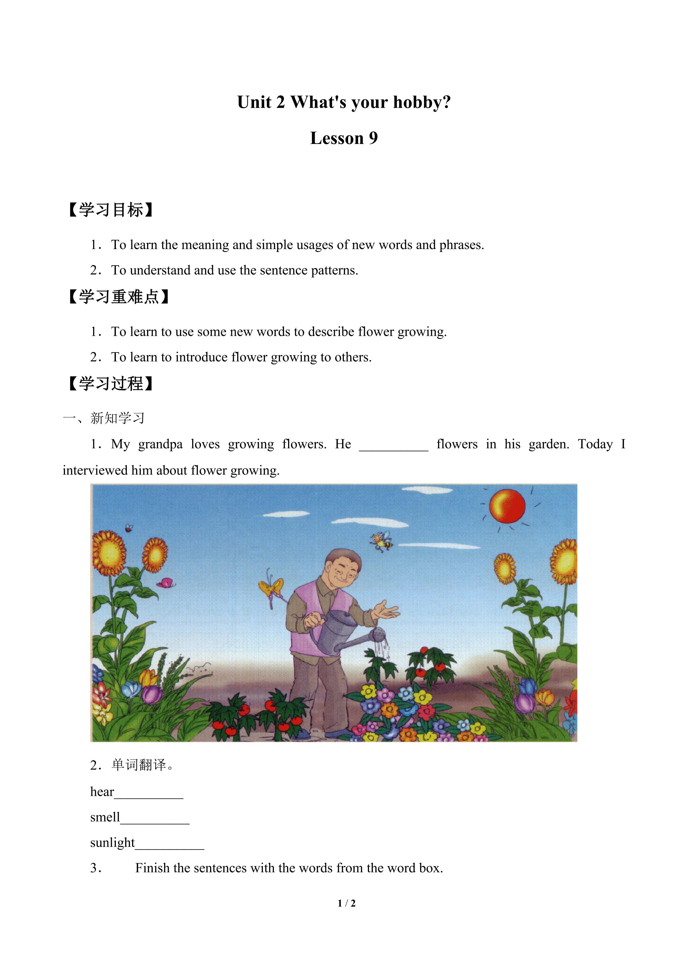 what's your hobby lesson 9_学案1