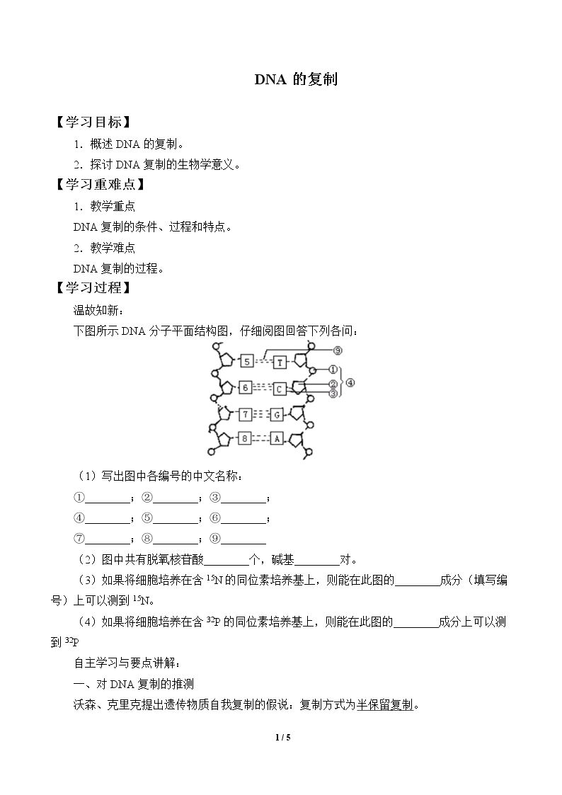 DNA的复制