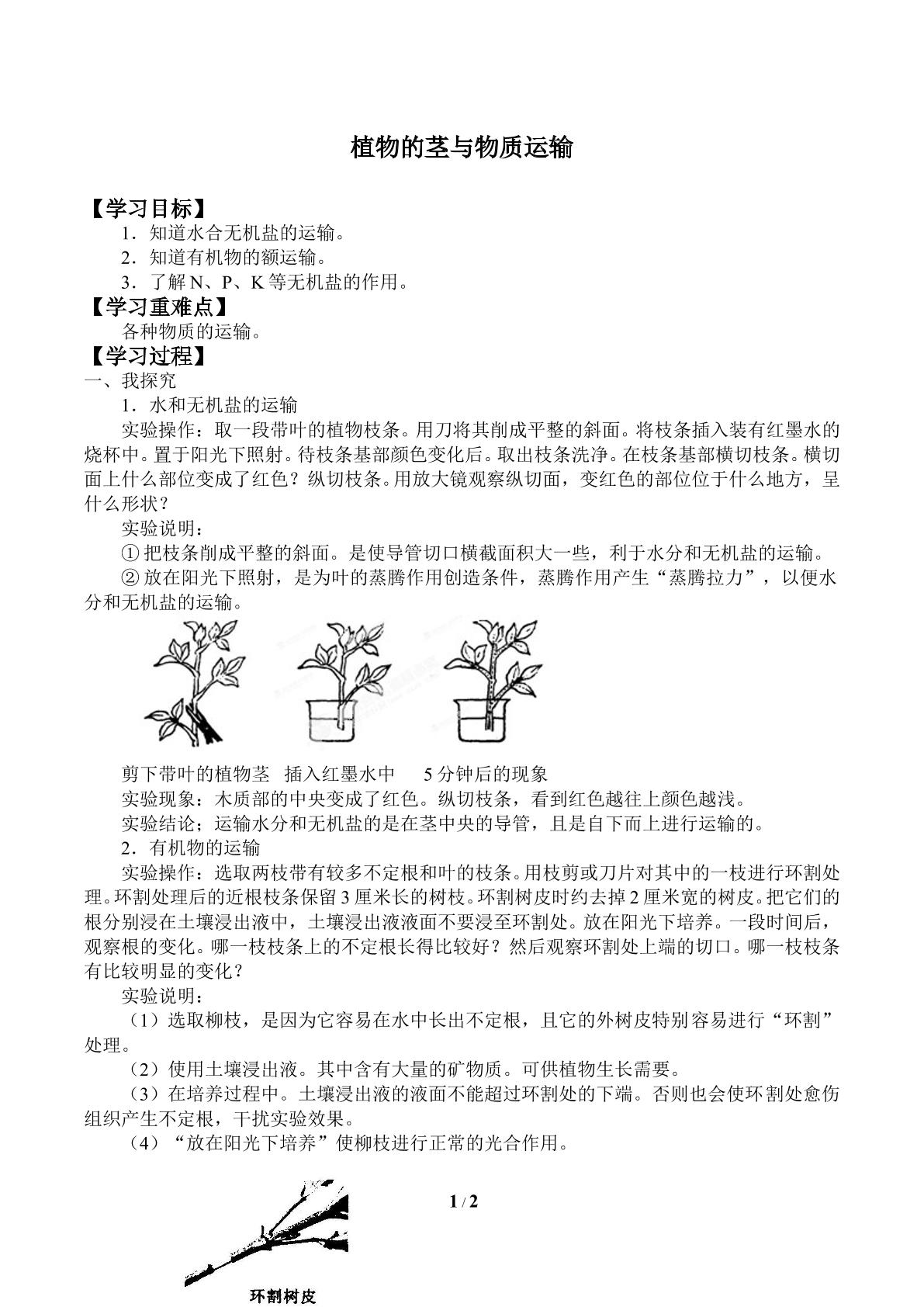 植物的茎与物质运输_学案2