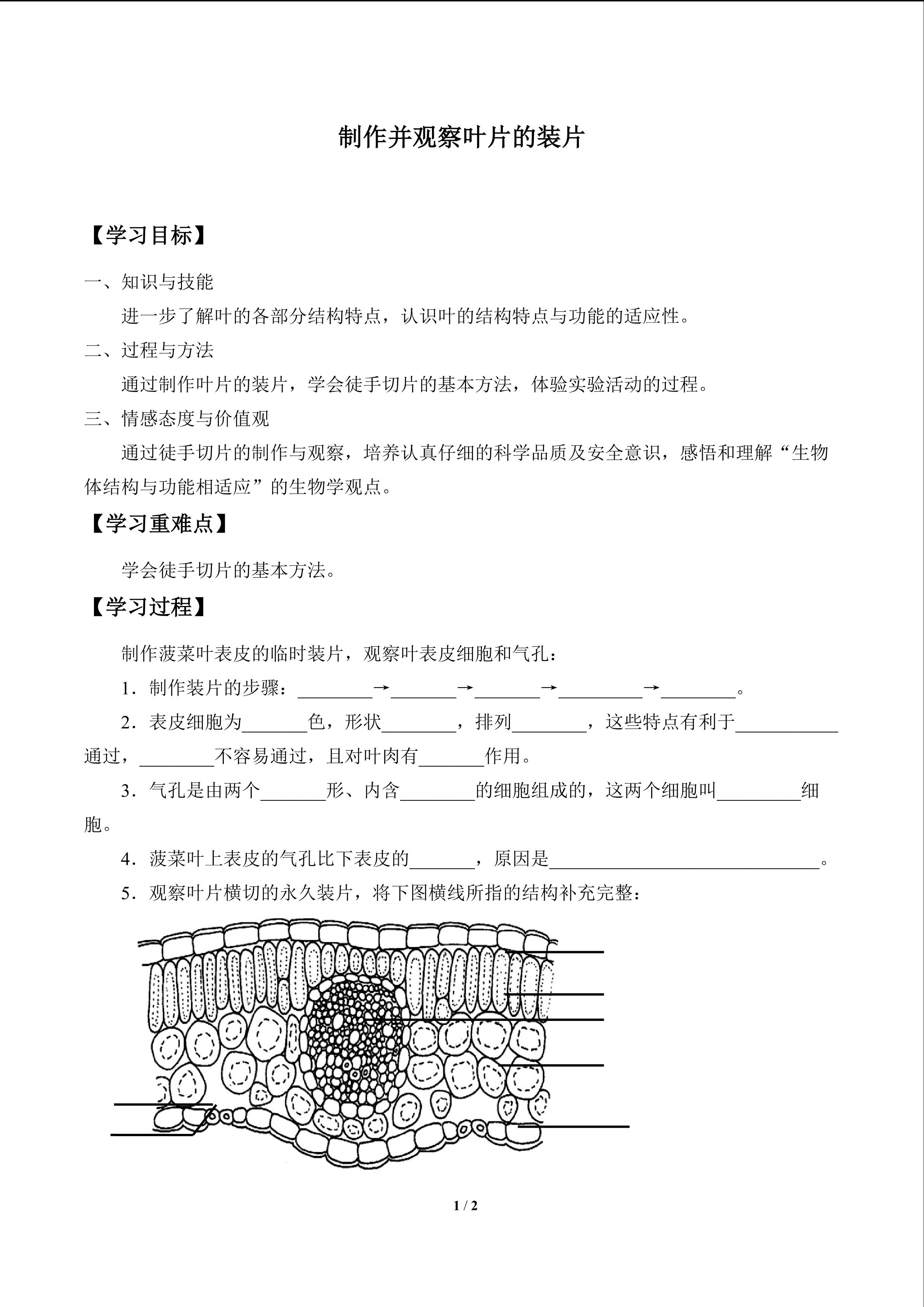 实验与实践 制作并观察叶片的装片_学案1