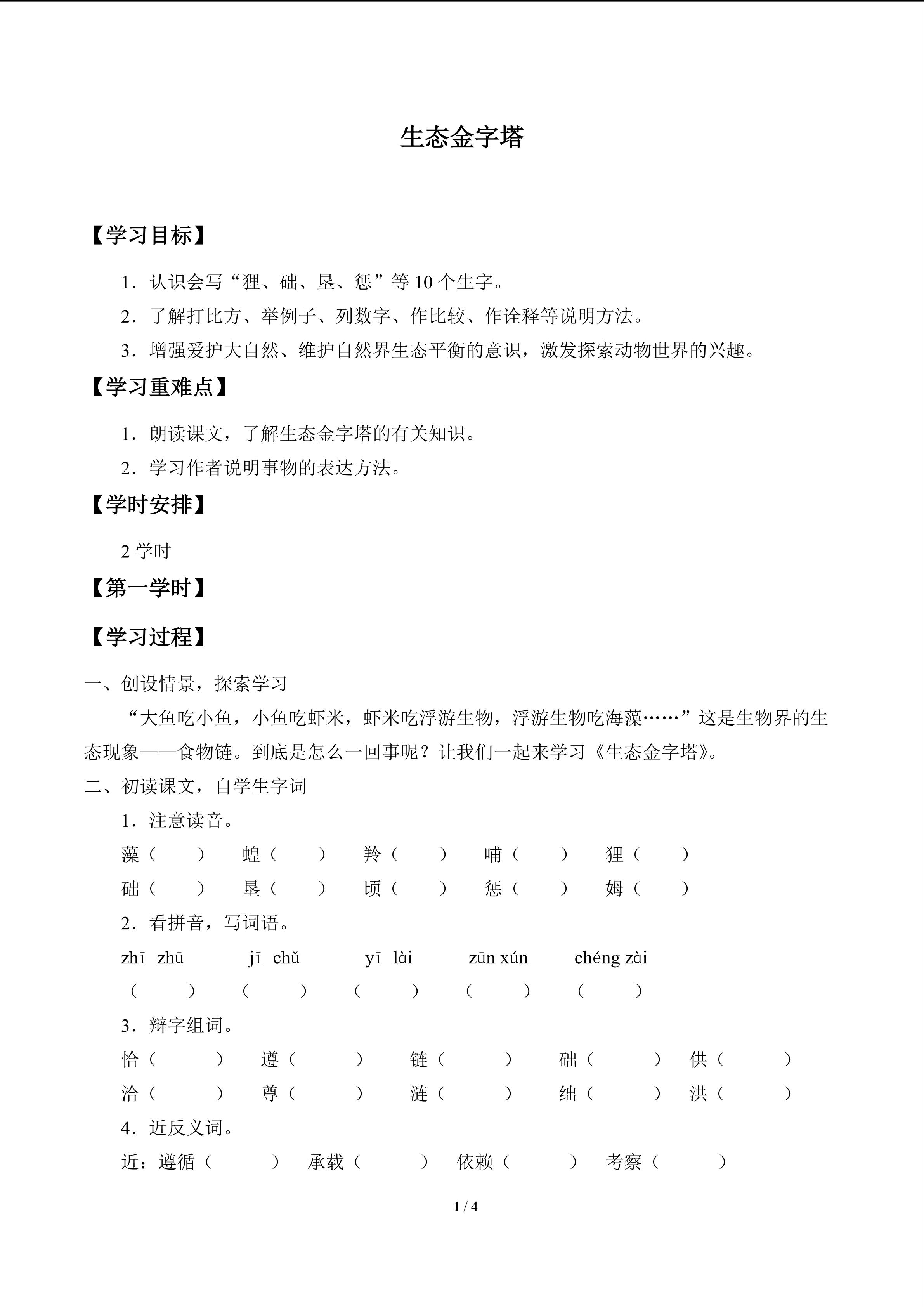 生态金字塔_学案1