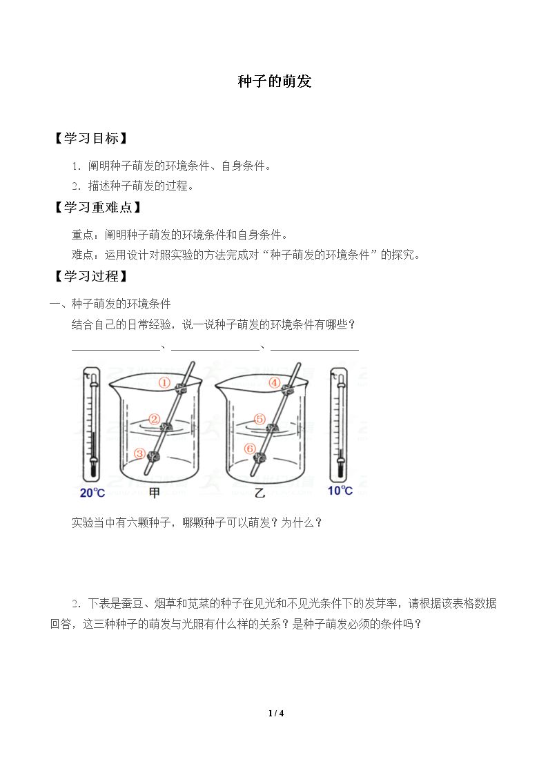 种子的萌发