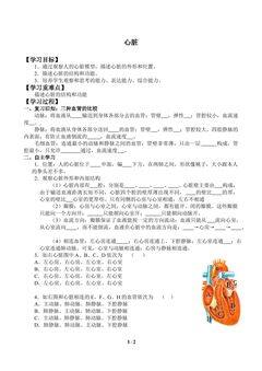 心脏_学案1