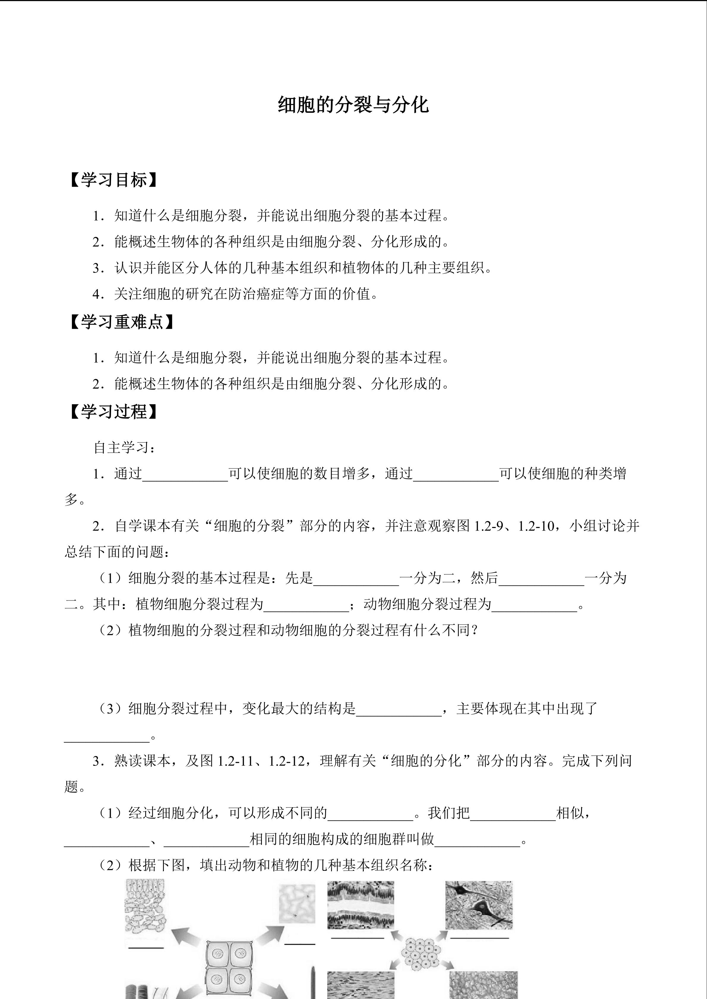 细胞的分裂与分化_学案1