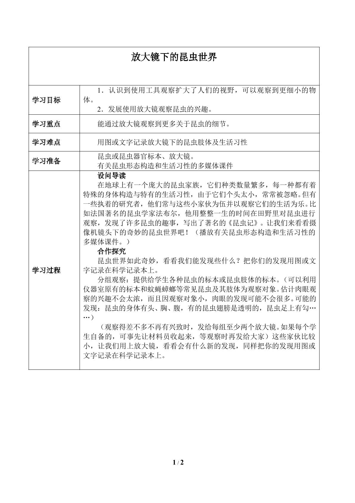 放大镜下的昆虫世界_学案1