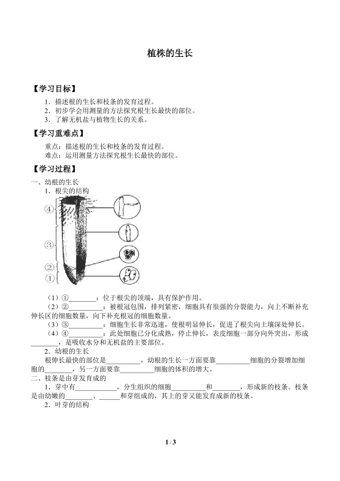 植株的生长