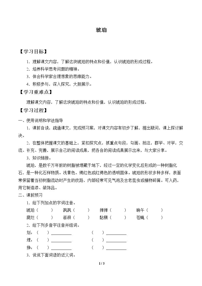 琥珀_学案1