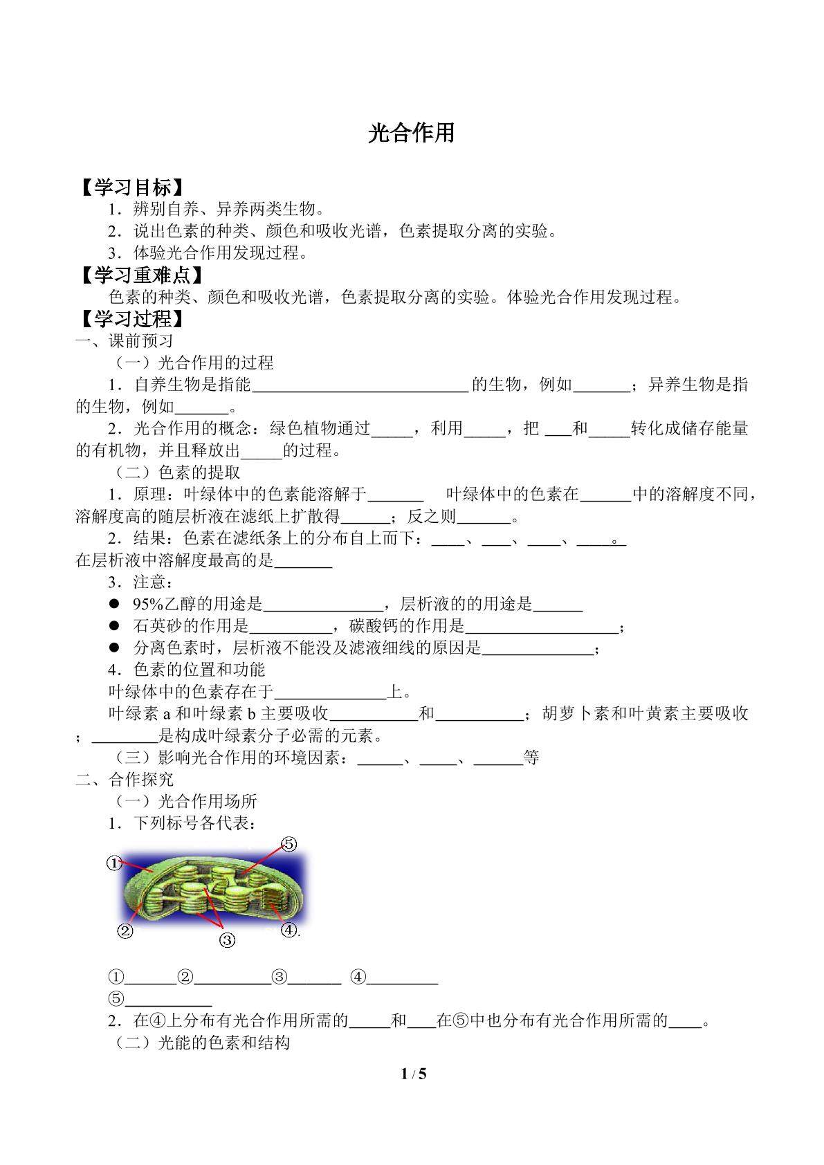 光合作用_学案2
