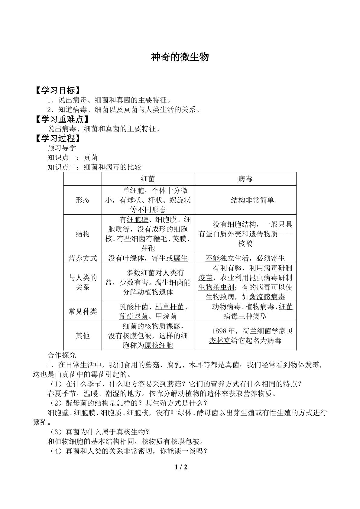 神奇的微生物_学案1