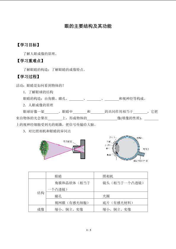 眼的主要结构及其功能_学案1