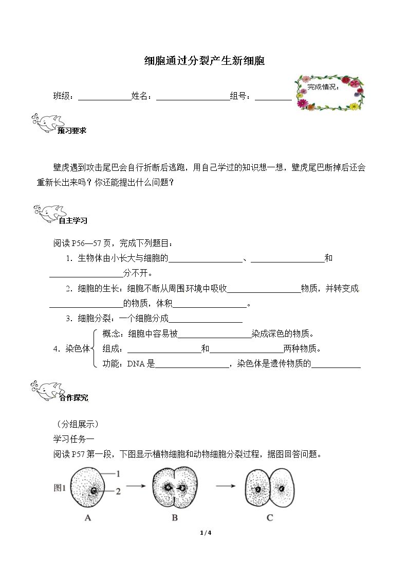 细胞通过分裂产生新细胞（含答案） 精品资源_学案1