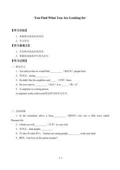 学案-You Find What You Are Looking for