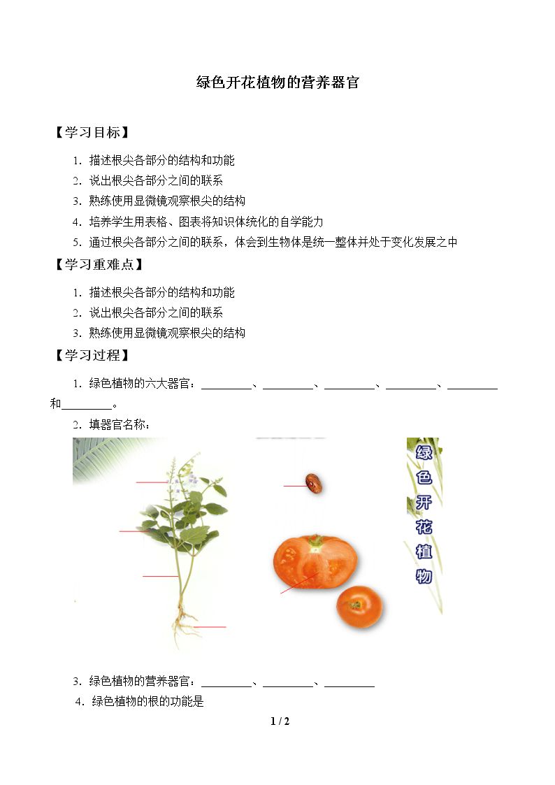 绿色开花植物的营养器官_学案1