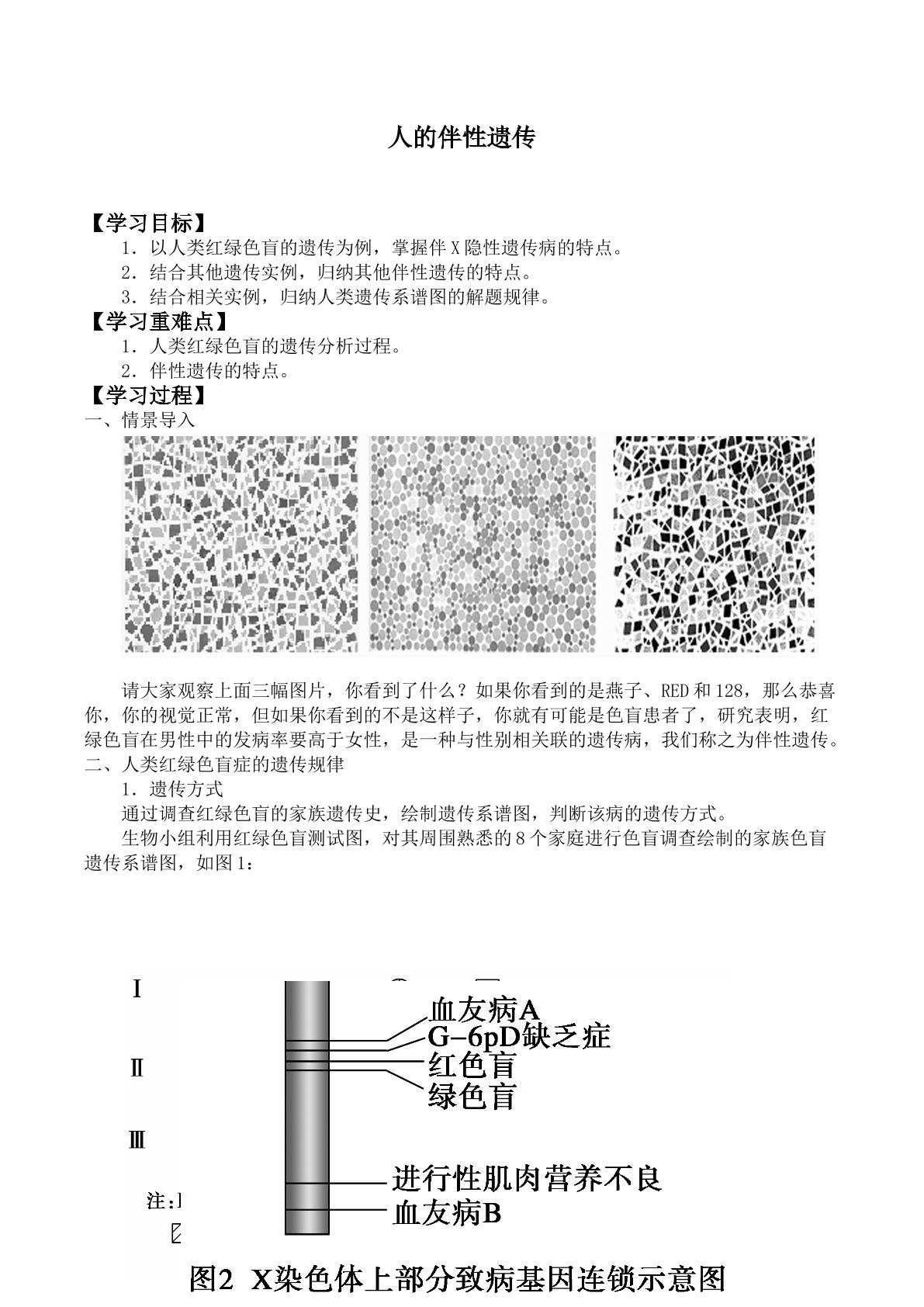 人的伴性遗传_学案1