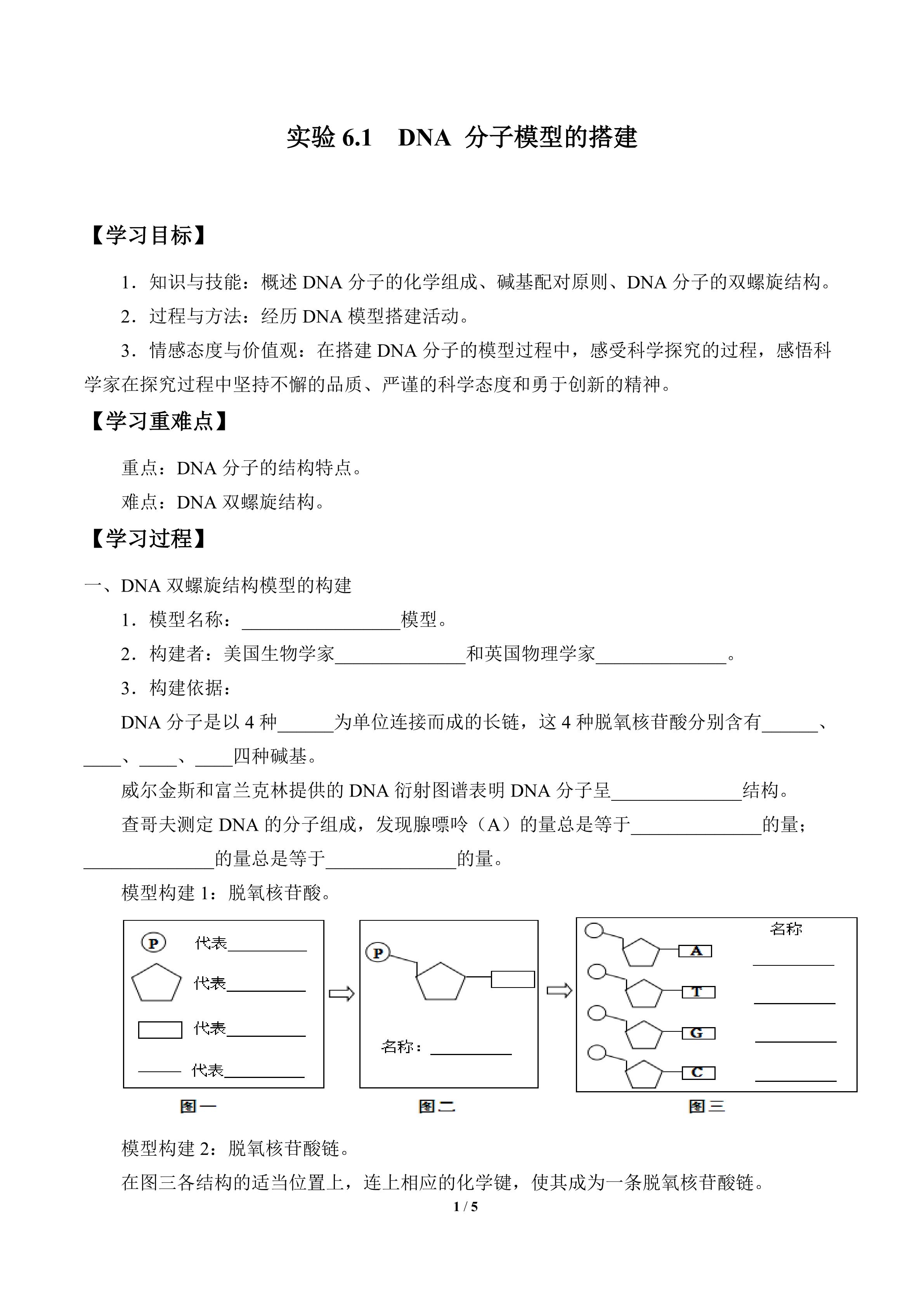 实验6.1  DNA 分子模型的搭建_学案1