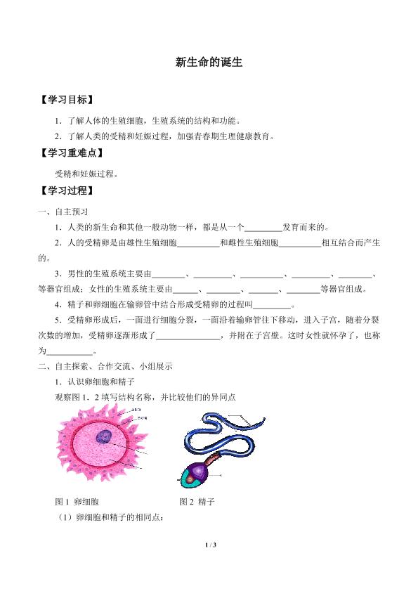 新生命的诞生_学案4