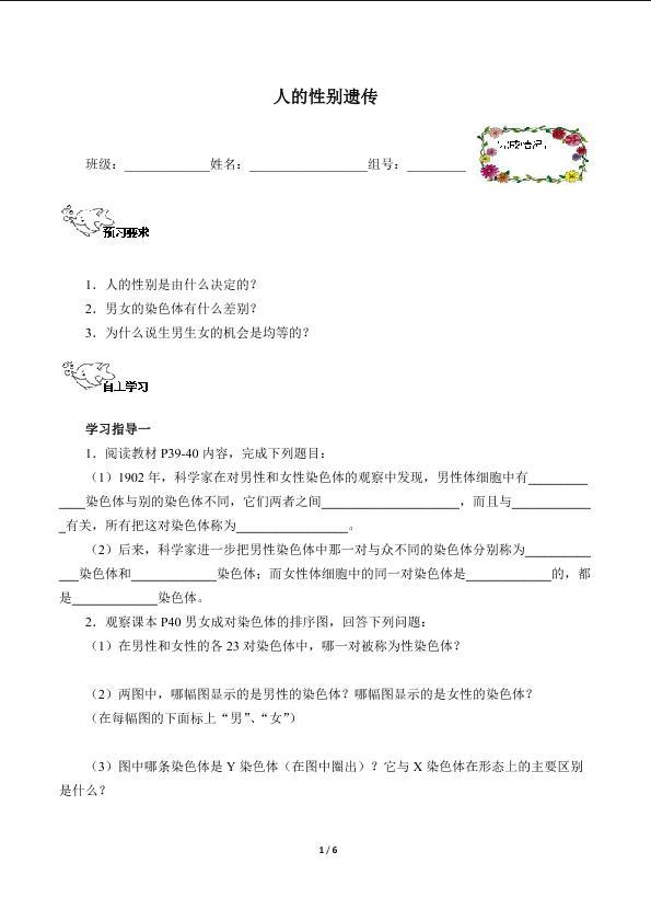 人的性别遗传（含答案） 精品资源_学案1