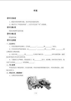 听觉_学案1