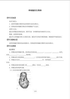 单细胞的生物体_学案1