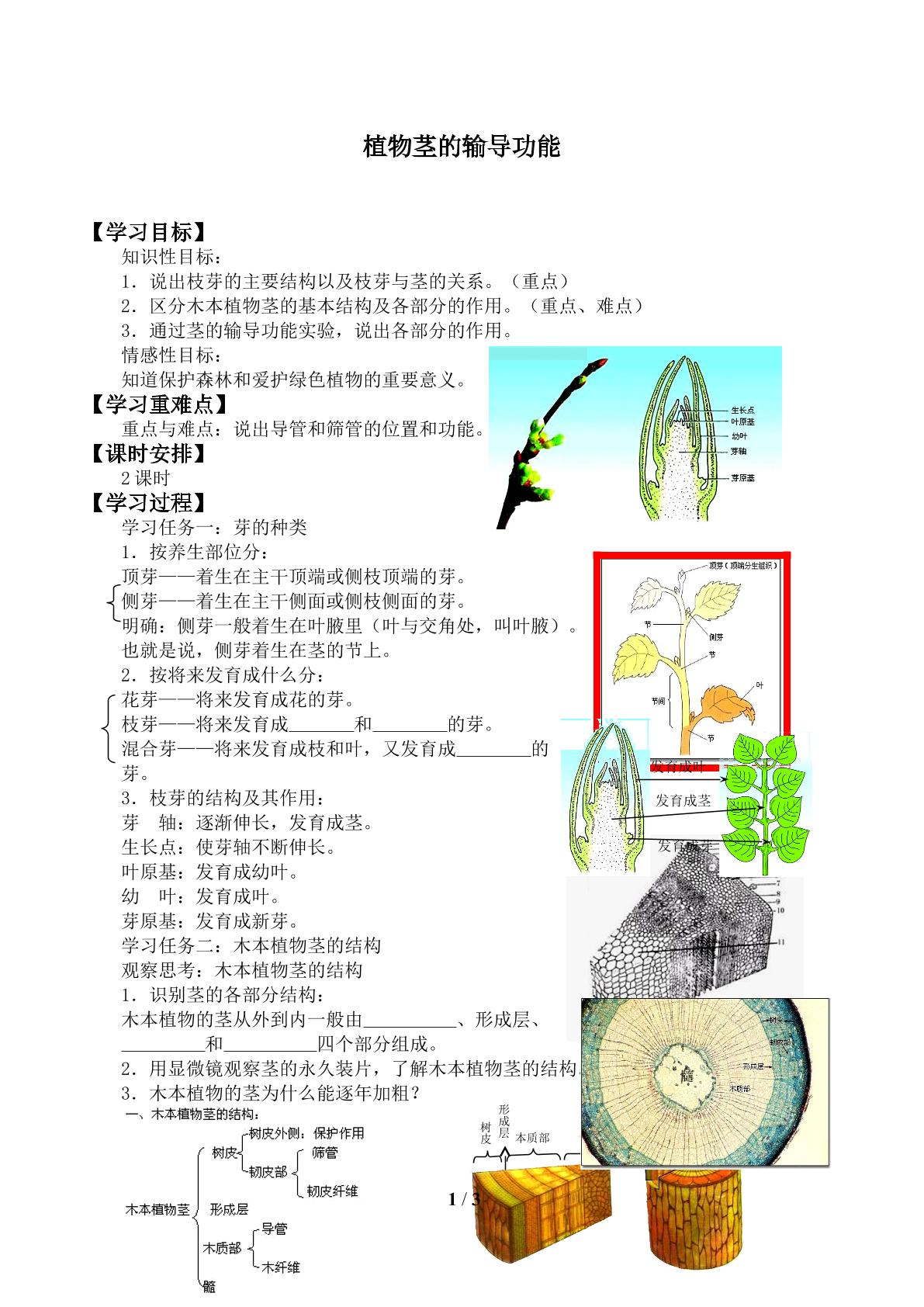 植物茎的输导功能_学案1