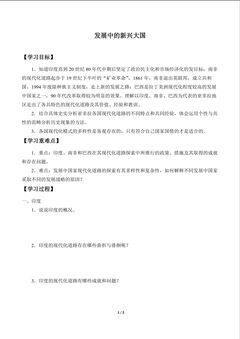 发展中的新兴大国_学案1