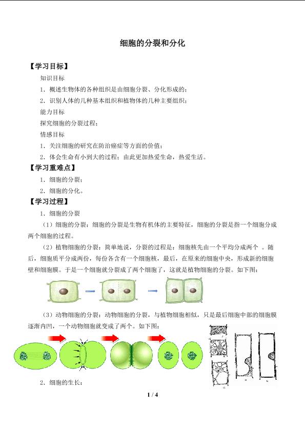 胞分裂与分化_学案1