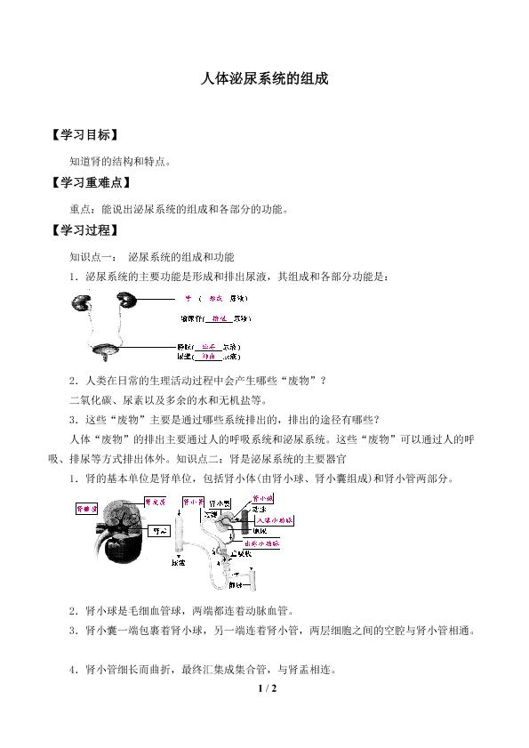 人体泌尿系统的组成_学案2