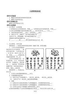人的性别决定_学案1
