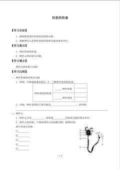 信息的传递_学案1