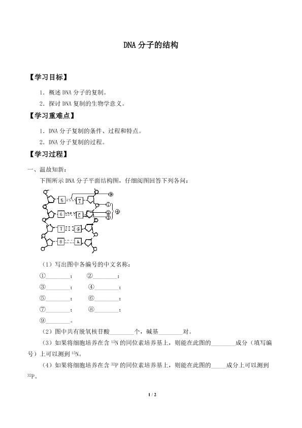 DNA的复制_学案2