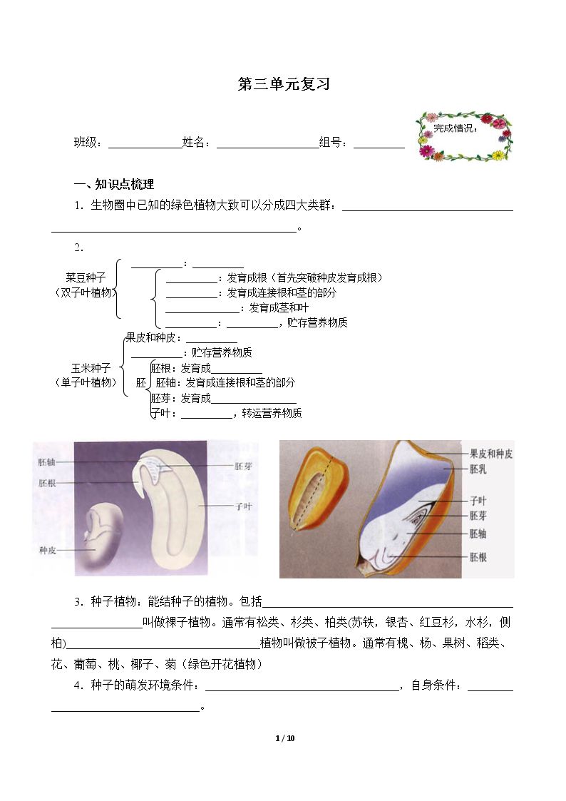 期末总复习（含答案） 精品资源_学案1