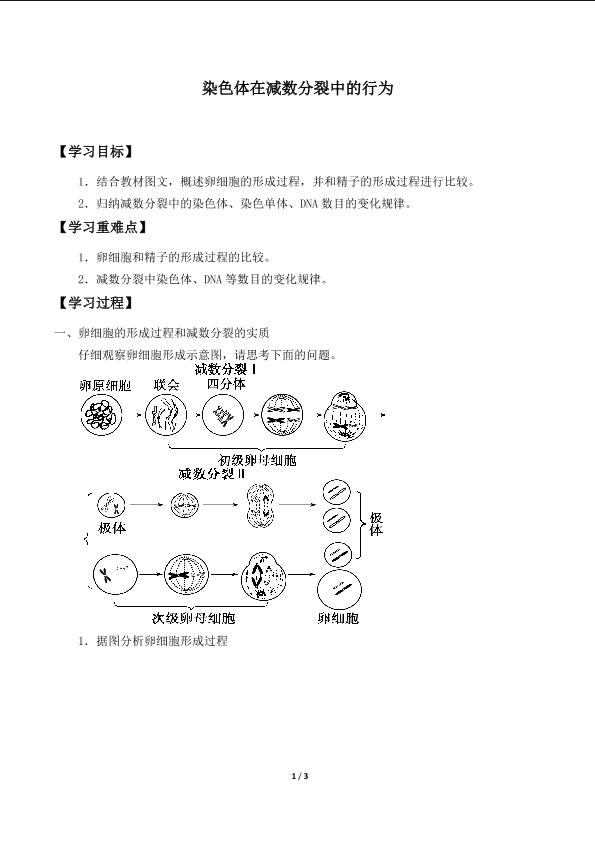 染色体在减数分裂中的行为_学案1