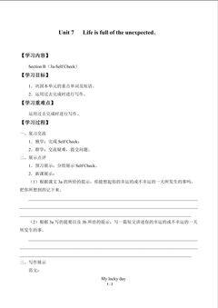 Unit 7   Life is full of the unexpected._学案7