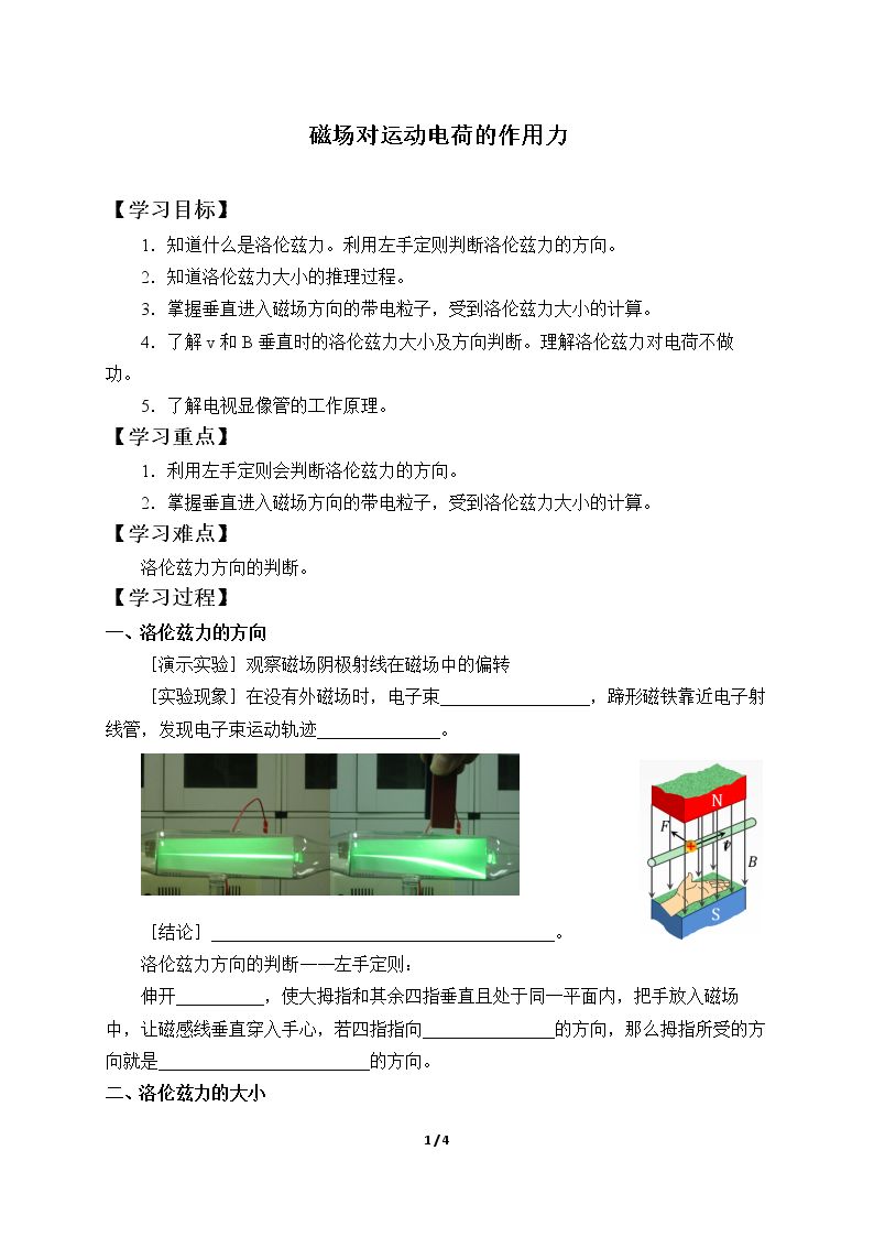 磁场对运动电荷的作用力