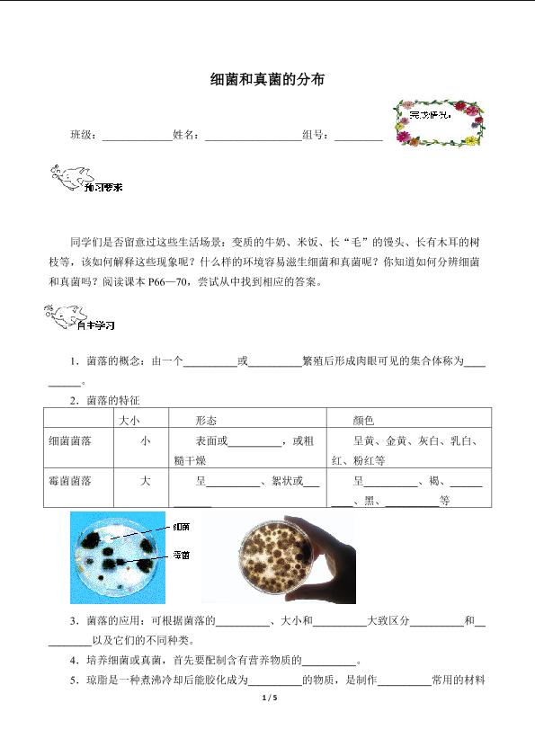 细菌和真菌的分布（含答案） 精品资源_学案1