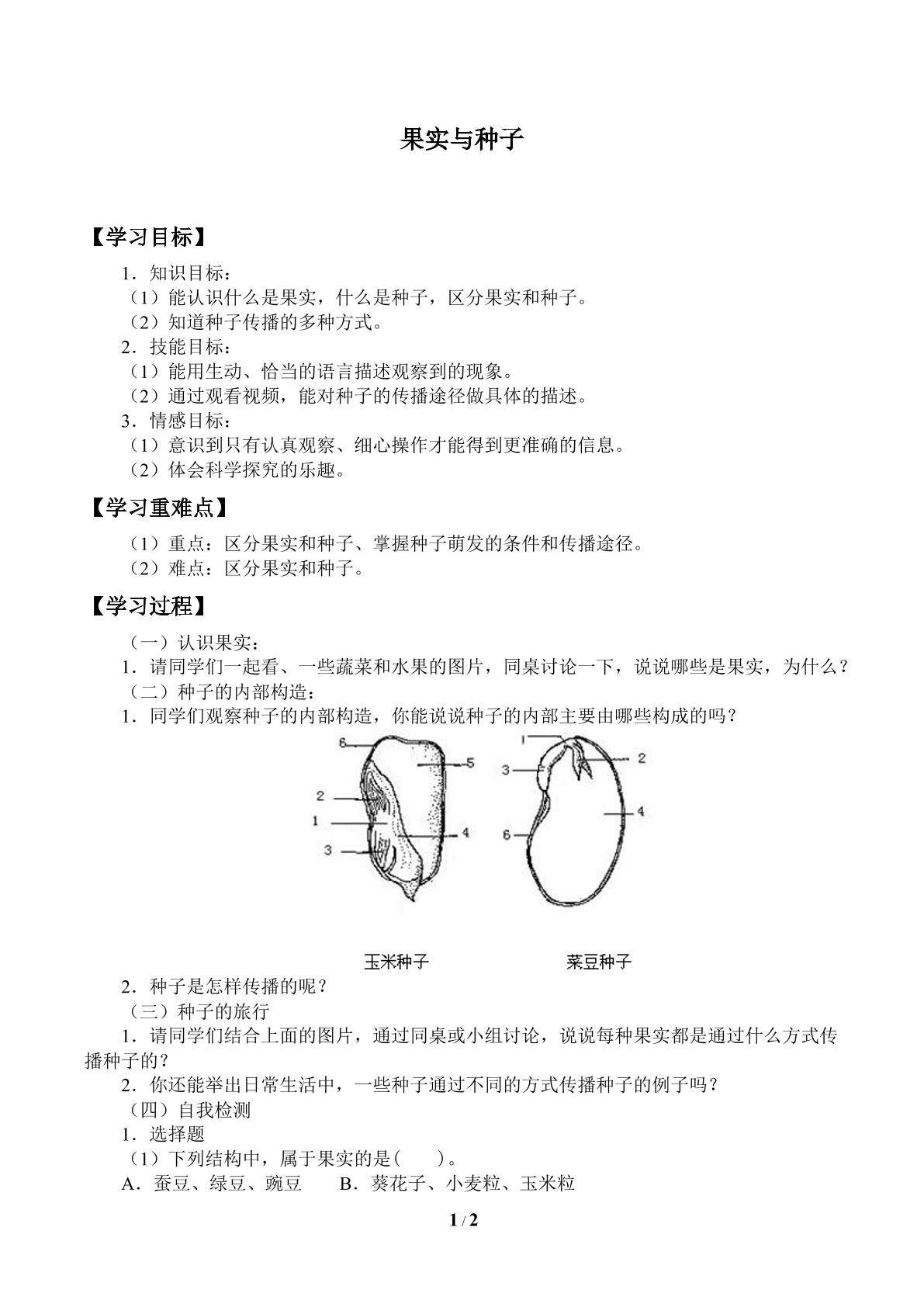 果实与种子_学案