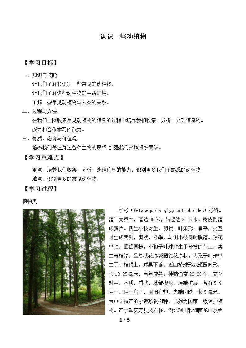 认识一些动植物_学案1