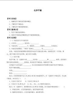 化学平衡_学案3