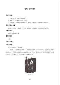 飞吧,你飞吧!_教案1