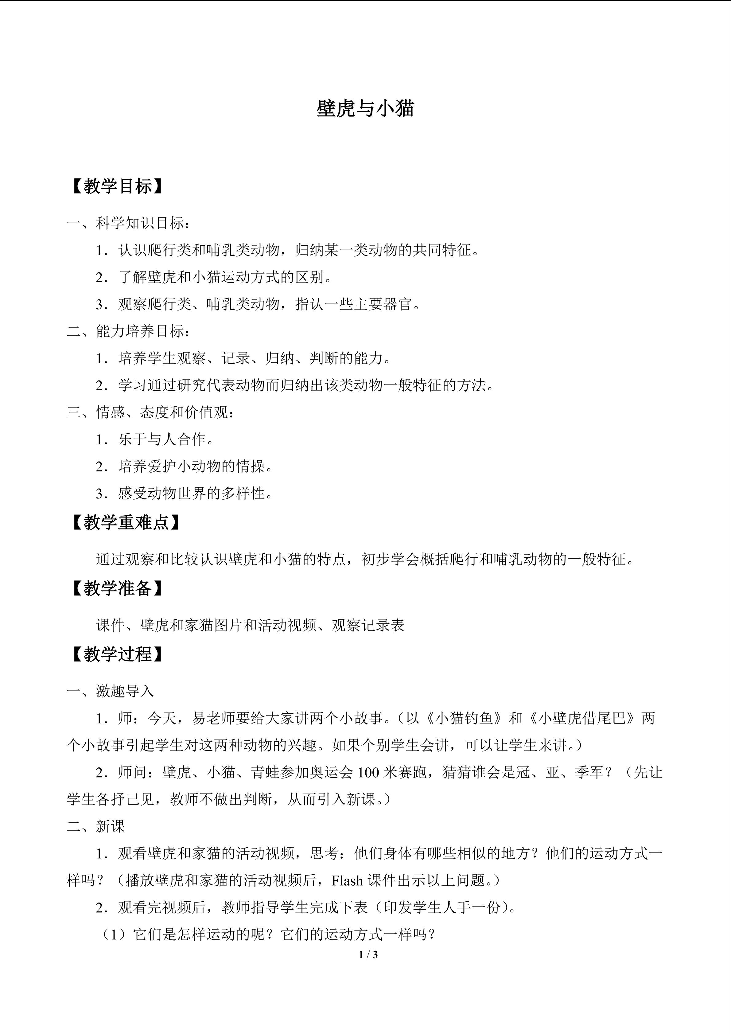 壁虎与小猫_教案1