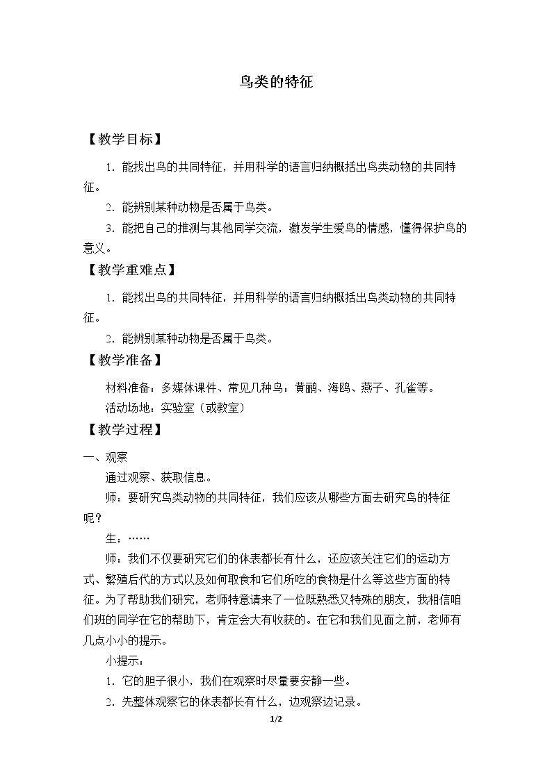 鸟类的特征