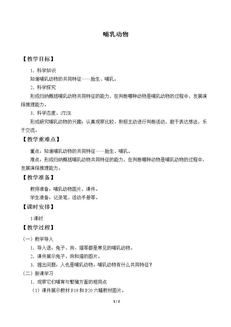 哺乳动物