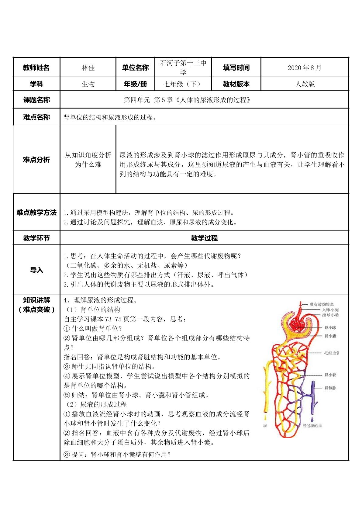 人体的尿液形成的过程