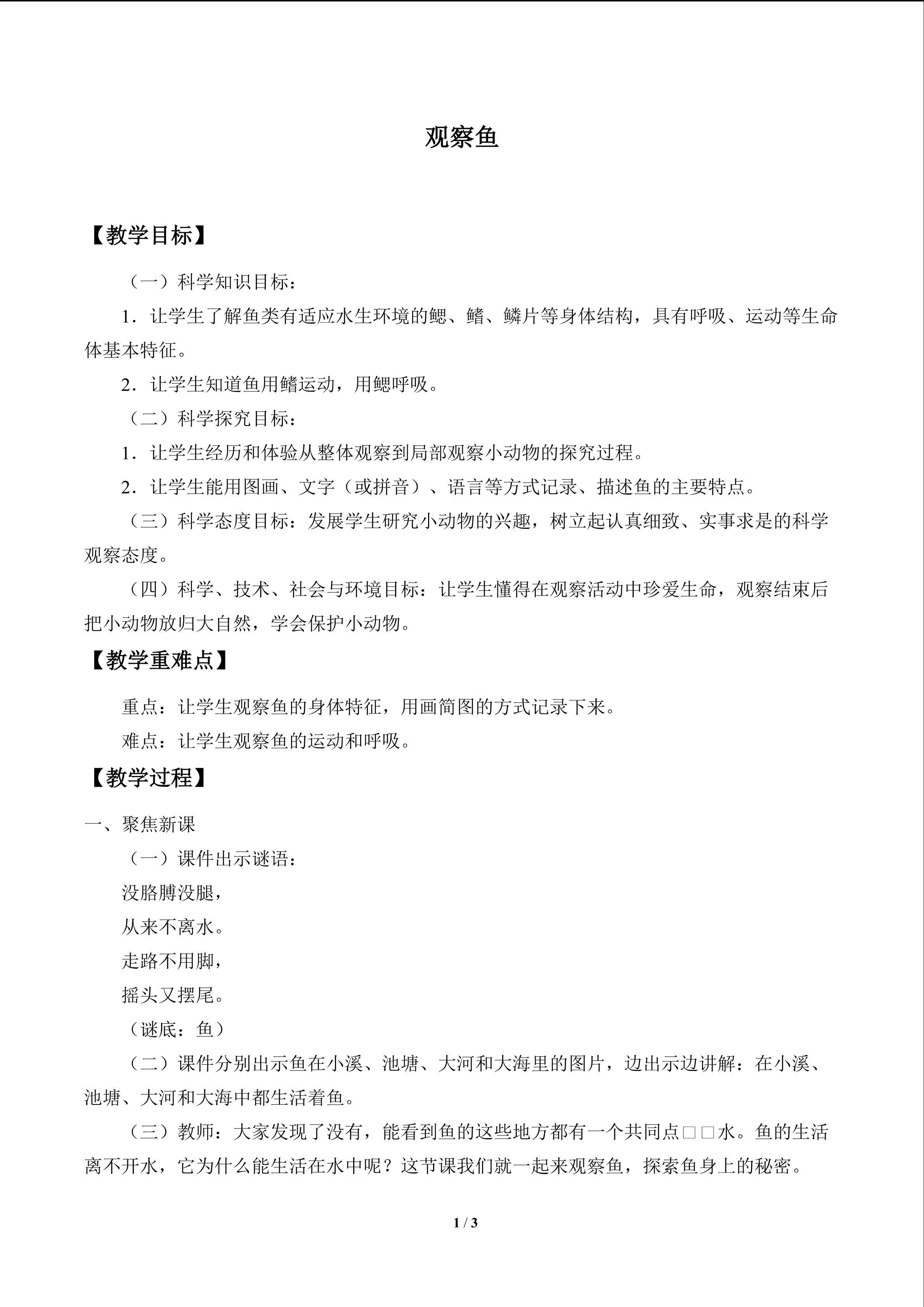 观察鱼_教案1