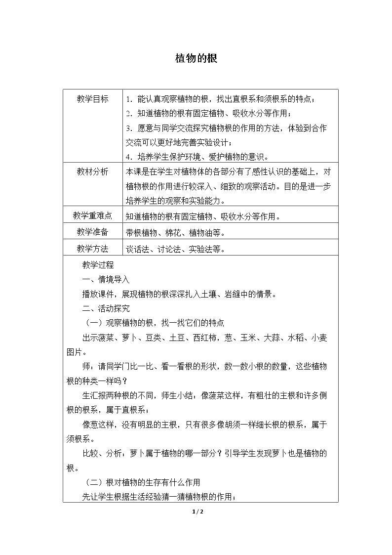 植物的根