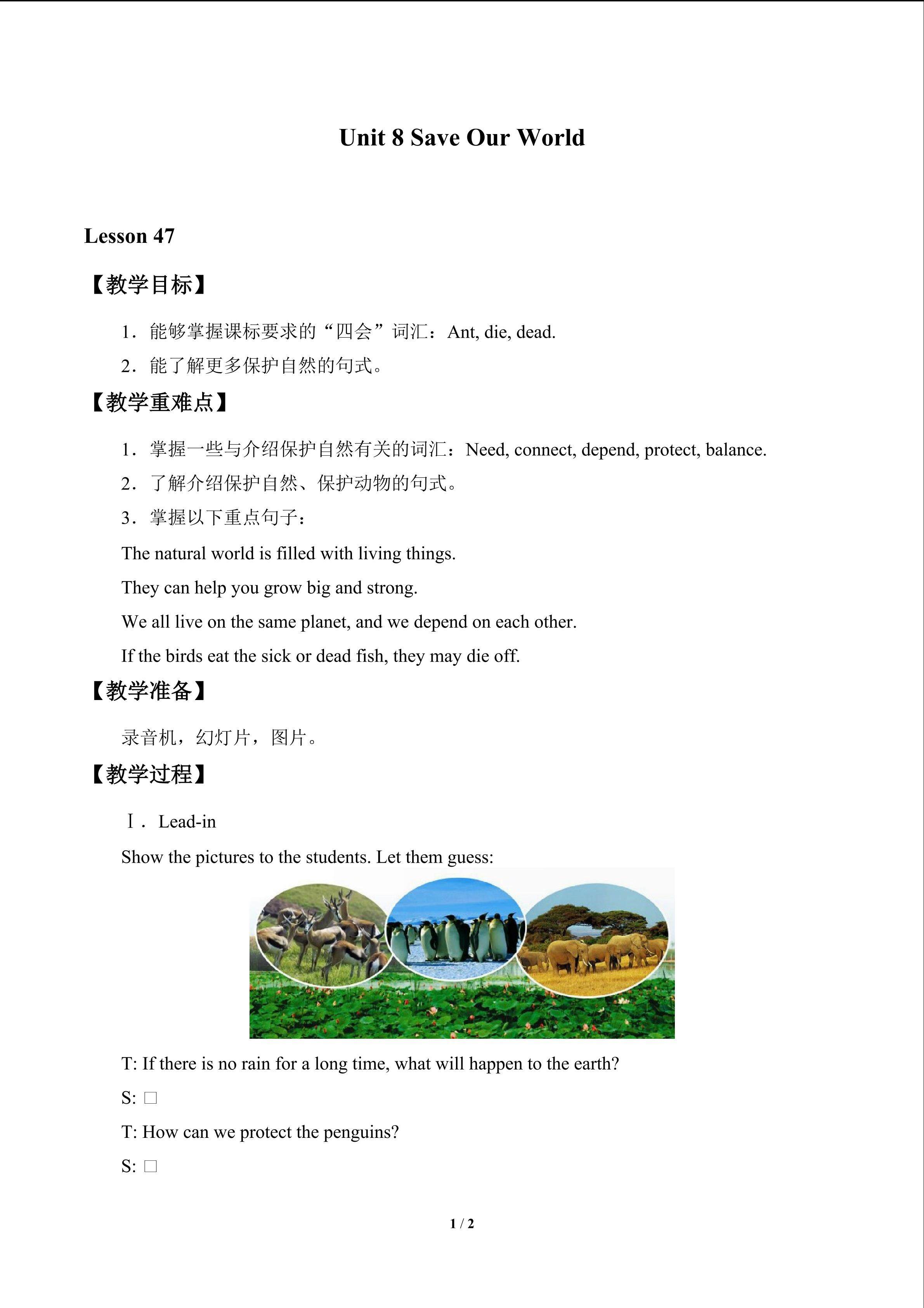 Unit 8  Save Our World_教案5