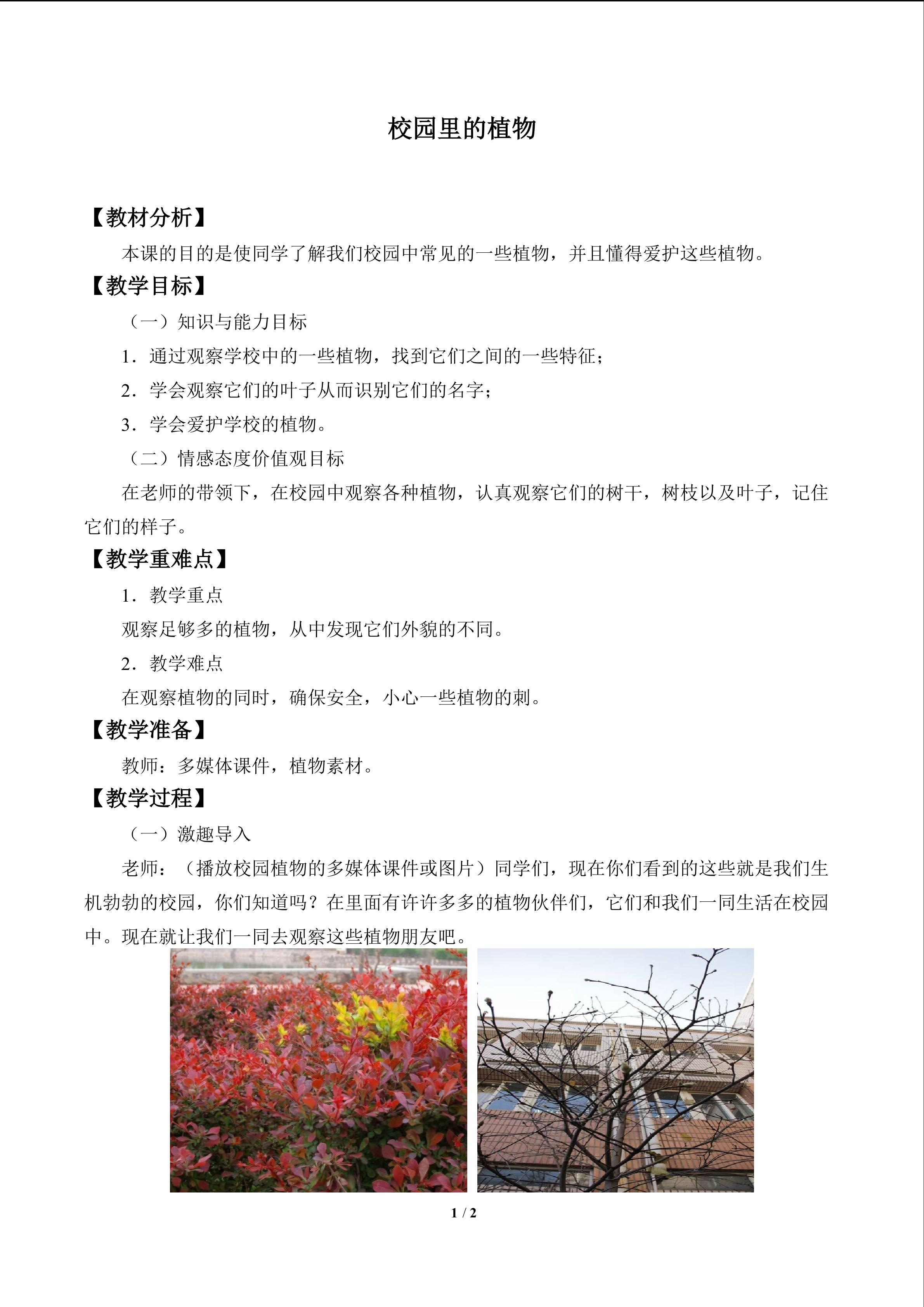 校园里的植物_教案1
